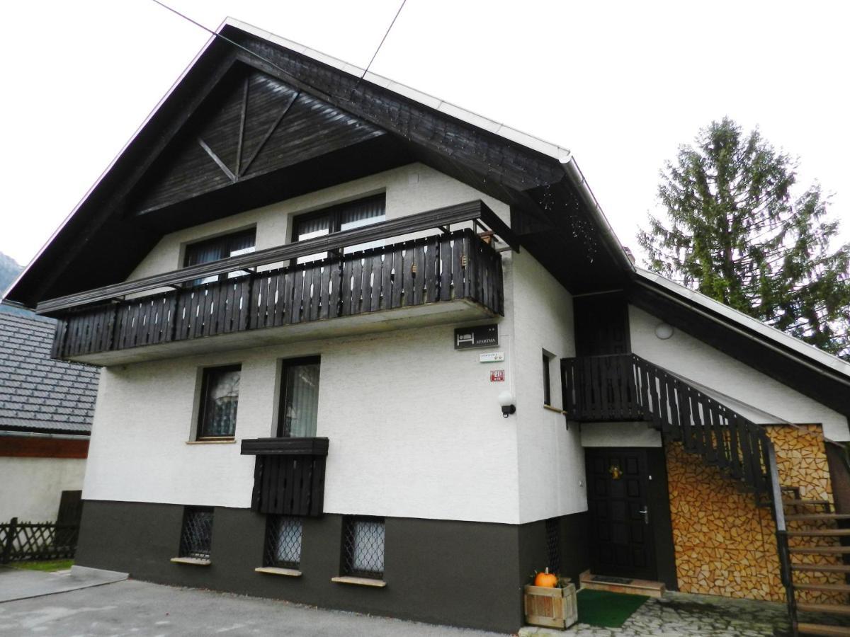 Apartments Koblar 克拉尼斯卡戈拉 外观 照片
