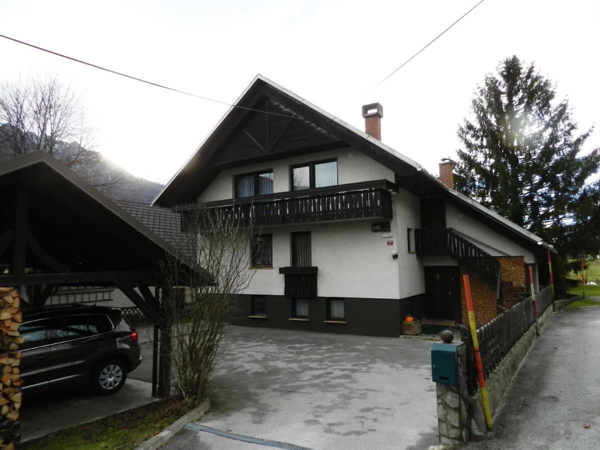 Apartments Koblar 克拉尼斯卡戈拉 外观 照片