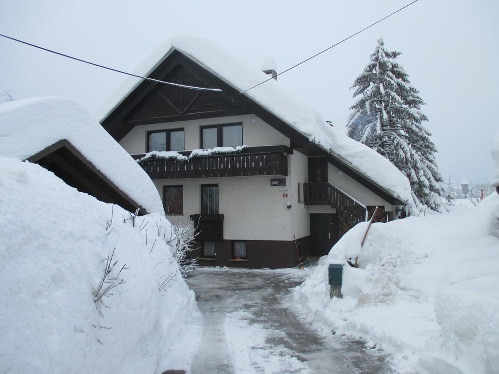 Apartments Koblar 克拉尼斯卡戈拉 客房 照片